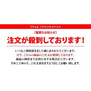 ロッキー 200系 キーホルダー ナンバープレ...の詳細画像2