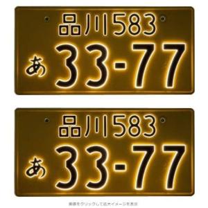 2枚セット 普通車用 12V クロームメッキ 字光式ナンバープレート 井上