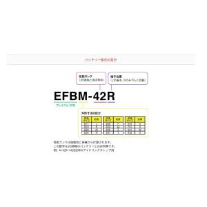EFBM-42R ACデルコ ACDelco ...の詳細画像3