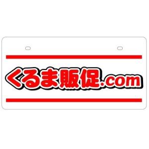 名入れ オリジナル エコ製ナンバーカード名入れ オリジナル 2色10枚｜kuruma-sp