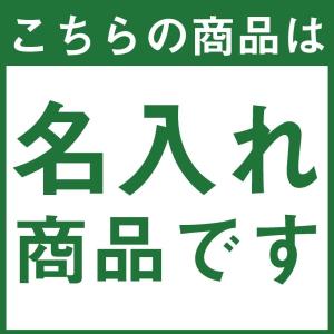ディスクタッチペン V010522 10000...の詳細画像4