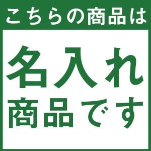 ウェアー個人名名入れ イニシャル、苗字、 4文...の詳細画像1