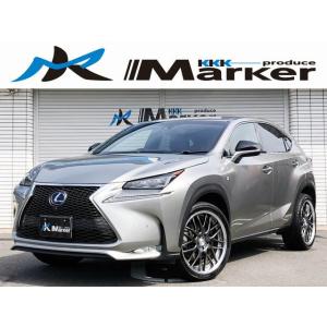 【支払総額2,490,000円】中古車 レクサス NX WORK20inchアルミ面一  ETC