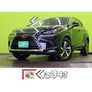 【支払総額3,085,000円】中古車 レクサス NX 【フルセグナビ★セーフティシステム+】