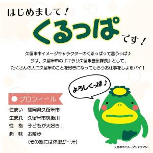 地場産くるめ くるっぱ くるっぱピンバッジの詳細画像2