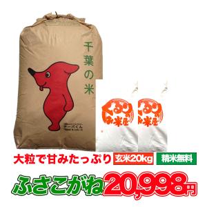 ふさおとめ 20kg 令和6年産 米 お米 玄米食でも安心の選別済 ふさおとめ 20kg 令和6年産 米 お米 玄米食でも安心の選別済