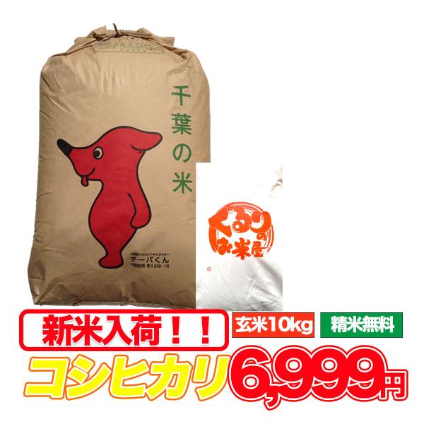 新米 令和7年産 コシヒカリ 10kg 米 お米 玄米食でも安心の選別済 玄米 白米 8.8kg 精...