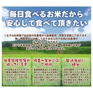 米 お米 10kg 令和1年産 コシヒカリ　白米 玄米　発送可能　送料無料｜kururi｜02