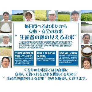 米 お米 10kg 令和1年産 コシヒカリ　白米 玄米　発送可能　送料無料｜kururi｜03