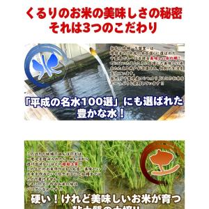 米 お米 10kg 令和1年産 コシヒカリ　白米 玄米　発送可能　送料無料｜kururi｜04