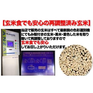 米 お米 10kg 令和1年産 コシヒカリ　白米 玄米　発送可能　送料無料｜kururi｜06