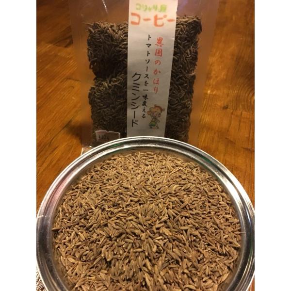 【送料無料】コシャリ屋コーピー クミンシード50g