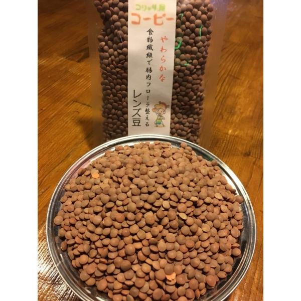 【送料無料】コシャリ屋コーピー レンズ豆100g