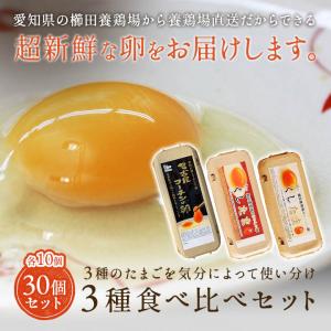 櫛田養鶏場のこだわりの卵 三種食べ比べセット 名古屋コーチンの卵10個 くしたま赤卵10個 くしたま白卵10個 合計30 個(※各種9個+1個破卵保証)