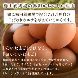 ＼臭みのないおいしい卵/くしたま 赤卵【30個...の詳細画像2