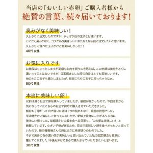 ＼臭みのないおいしい卵/くしたま 赤卵【40個...の詳細画像3