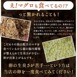 ＼臭みのないおいしい卵/くしたま 赤卵【40個...の詳細画像5