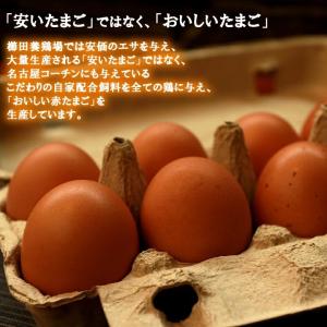 普段使いにおススメ 櫛田養鶏場が誇るおいしい赤...の詳細画像2