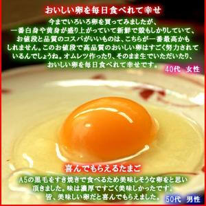 普段使いにおススメ 櫛田養鶏場が誇るおいしい赤...の詳細画像4
