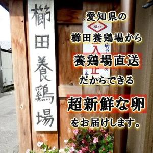 普段使いにおススメ 櫛田養鶏場が誇るおいしい赤...の詳細画像5
