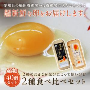 二種食べ比べセット 高級名古屋コーチンの卵（20個入り）＋くしたま白卵（20個入り） 送料無料 合計...