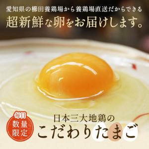 卵 30個 タマゴ たまご 名古屋コーチンの卵...の詳細画像1