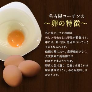 卵 30個 タマゴ たまご 名古屋コーチンの卵...の詳細画像4