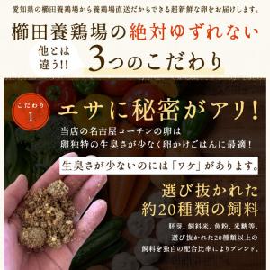 卵 30個 タマゴ たまご 名古屋コーチンの卵...の詳細画像5