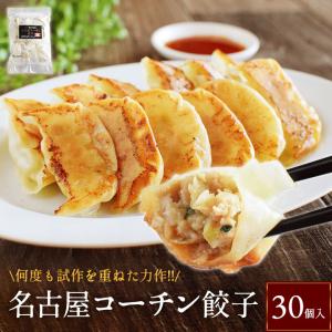 ＼おひとり様1回限り／お試しで1袋！名古屋コーチン餃子【30個入り(30個入り×1袋)】冷凍餃子 餃子 送料無料 お試し 生餃子 冷凍生餃子 食品 惣菜 中華 鶏肉