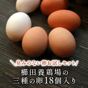 卵 お試し たまご 養鶏場直送 おひとり様1回...の詳細画像1