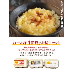 卵 お試し たまご 養鶏場直送 おひとり様1回...の詳細画像3