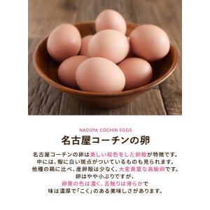 卵 お試し たまご 養鶏場直送 おひとり様1回...の詳細画像4