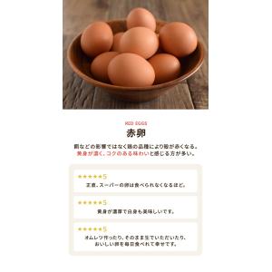 卵 お試し たまご 養鶏場直送 おひとり様1回...の詳細画像5