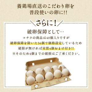白卵でも美味しい!!臭みのないおいしい卵 くし...の詳細画像2