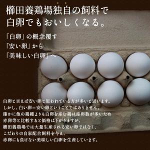 白卵でも美味しい!!臭みのないおいしい卵 くし...の詳細画像4