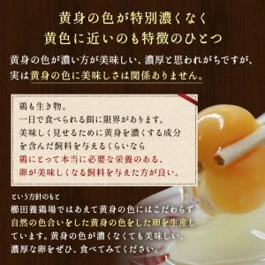白卵でも美味しい!!臭みのないおいしい卵 くし...の詳細画像5