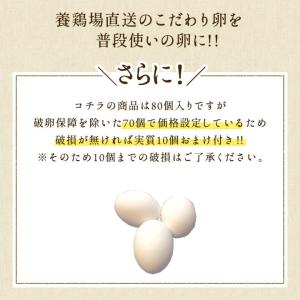 業務用 櫛田養鶏場のくしたま白卵 80個入り(...の詳細画像2