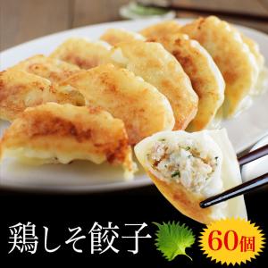 鶏しそ餃子 60個入り(30個入り×2袋) 冷凍餃子 餃子 送料無料 お試し 生餃子 冷凍生餃子 食品 惣菜 中華 鶏肉｜櫛田養鶏場ヤフーショッピング店