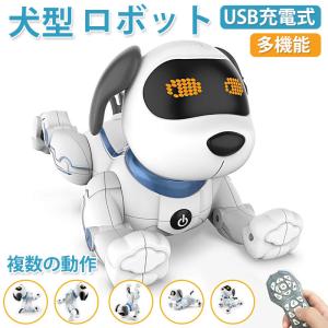 アーテック 本日ポイント10倍 (取り寄せ品)アーテック Artec 知育