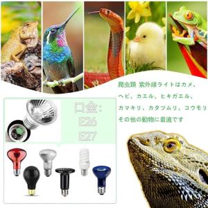 爬虫類 バスキングライト 双頭紫外線 治具付き...の詳細画像4