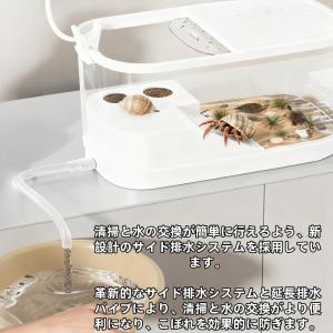 ヤドカリ飼育箱 小型高級ヴィラ カニ専用生態水...の詳細画像4