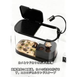 ヤドカリ飼育箱 小型高級ヴィラ カニ専用生態水...の詳細画像5