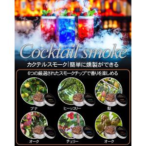 グラストップスモーカー 電気式 燻製器 家庭用...の詳細画像3