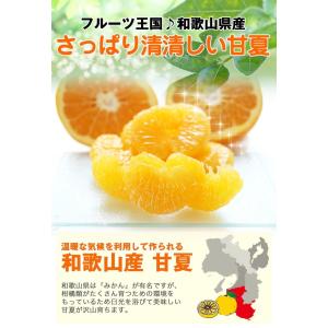 甘夏 8kg(箱込約8kg)和歌山県産 訳あり...の詳細画像1