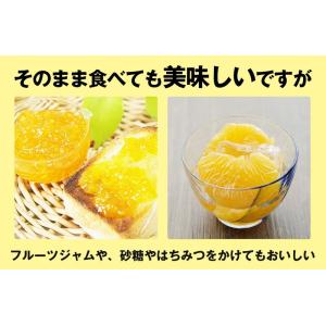 甘夏 8kg(箱込約8kg)和歌山県産 訳あり...の詳細画像3