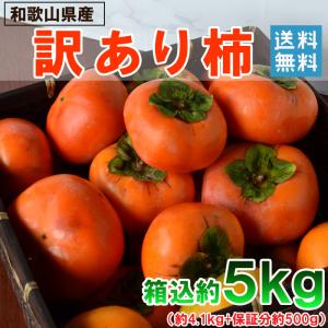 柿 5kg（箱込約5kg）和歌山県産 訳あり・ご家庭用 送料無料（東北・北海道・沖縄県除く）（配達日指定不可）