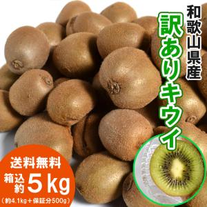 キウイ 5kg（箱込約5kg）和歌山県産 訳あり・ご家庭用 送料無料（東北・北海道・沖縄県除く）（配達日指定不可）