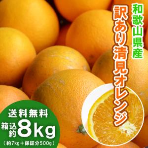 清見オレンジ 8kg（箱込約8kg）和歌山県産 訳あり・ご家庭用 / きよみ 送料無料（東北・北海道...