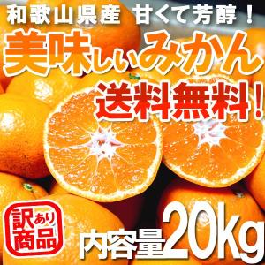 みかん 10kg×2箱（計20kg） 和歌山県産 訳あり・ご家庭用 送料無料（北海道・沖縄県除く）（配達日指定不可）