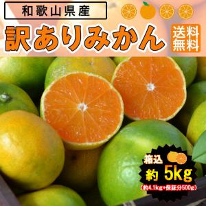 みかん 5kg(箱込約5kg)和歌山県産 訳あ...の詳細画像1